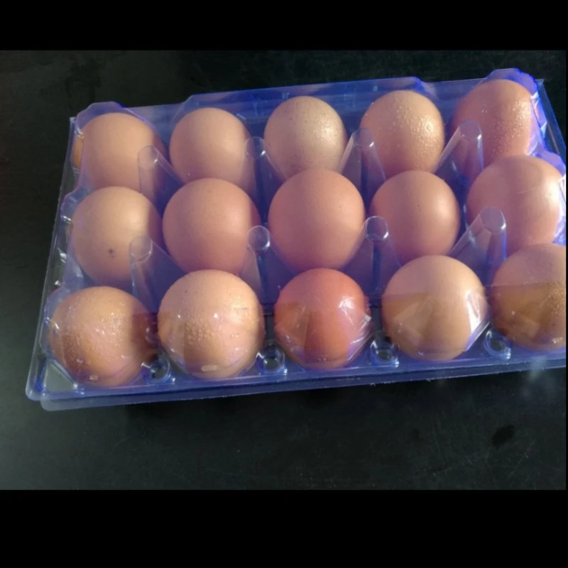 t01e070221e23f7449e t01e070221e23f7449e